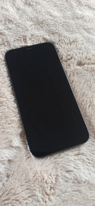 iPhone 12 Pro Max Grigio Siderale