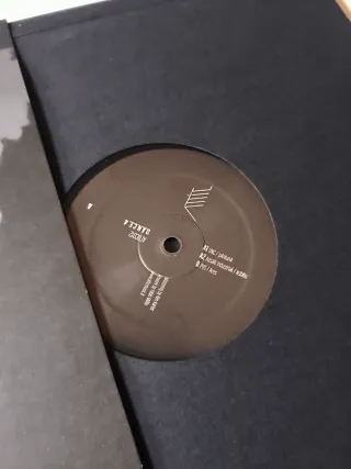 Lote 8 Vinilos Techno Estilo Mulero