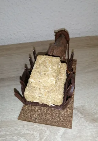 Belén Carro Buey Oliver