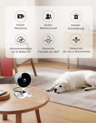 PACK 4 CÁMARAS WOLFANF