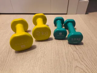 Juego de mancuernas 1kg y 2kg