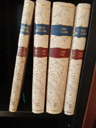 Colección 16 libros Clásicos Castellanos de Espasa