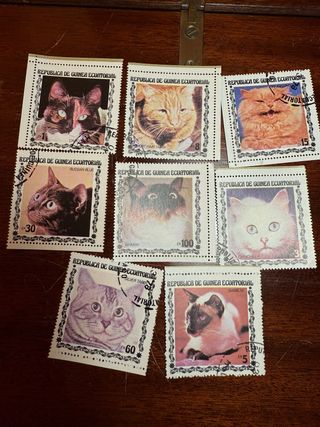 Colección Sellos Gatos Guinea Ecuatorial