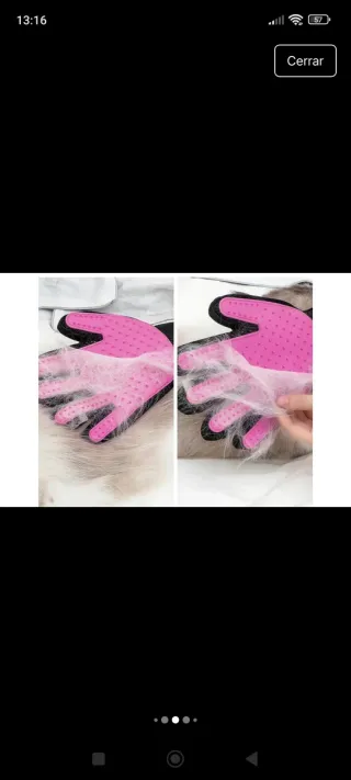 Guante y cepillo para mascotas