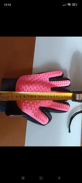 Guante y cepillo para mascotas