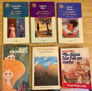 Lote 6 libros novela española / 2 euros el lote