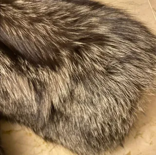 Abrigo de Zorro Plateado