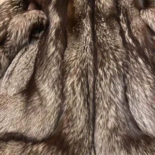 Abrigo de Zorro Plateado