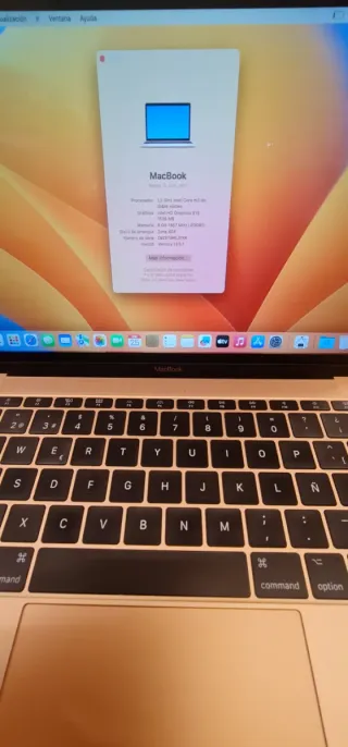 MacBook A2338 Oro/Plata