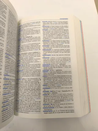 Diccionario Secundaria y Bachillerato: Lengua E...