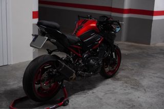 Kawasaki Z900 Performance 2024