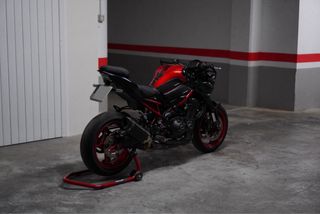 Kawasaki Z900 Performance 2024