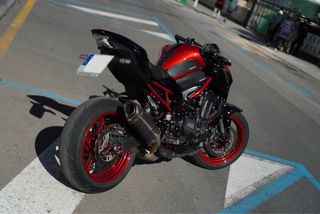 Kawasaki Z900 Performance 2024