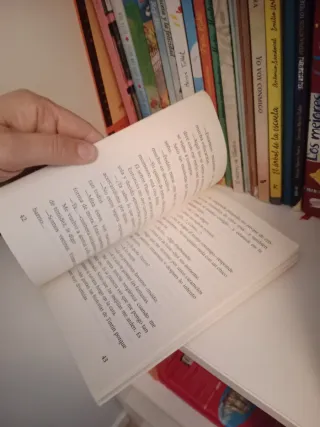 Libro El niño que quería ser Tintin