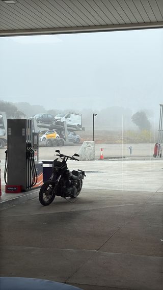 Harley Davidson Street Bob Negra