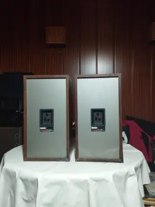 Altavoces Bowers & Wilkins DM 110i