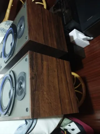 Altavoces Bowers & Wilkins DM 110i