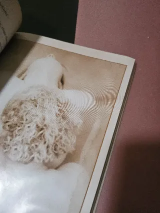 Mil Lésbicas Submarinas, Livro