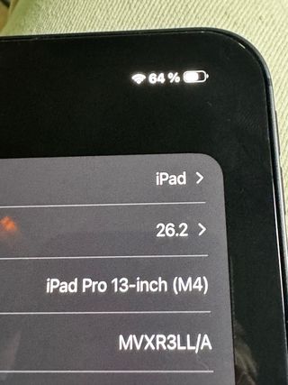 iPad Pro 13” M4 Wifi 100% Batería