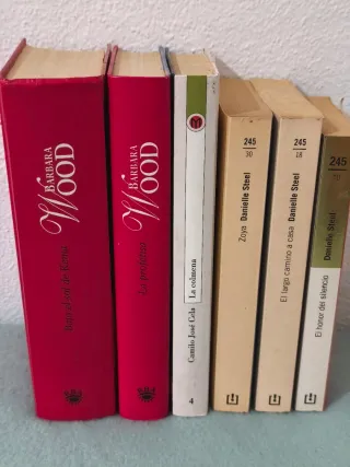 Lote 6 libros x 1€