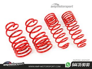 MUELLES DEPORTIVOS MTS TECHNIK MTSXLA004