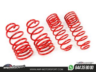 MUELLES DEPORTIVOS MTS TECHNIK MTSXBM023