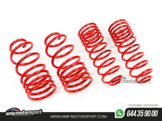 MUELLES DEPORTIVOS MTS TECHNIK MTSXCI077