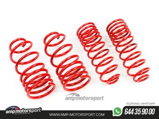 MUELLES DEPORTIVOS MTS TECHNIK MTSXOP227