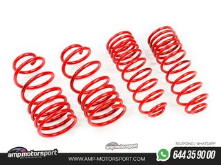 MUELLES DEPORTIVOS MTS TECHNIK MTSXCI076