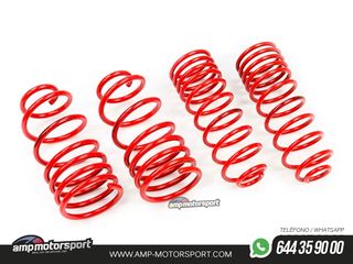 MUELLES DEPORTIVOS MTS TECHNIK MTSXOP038