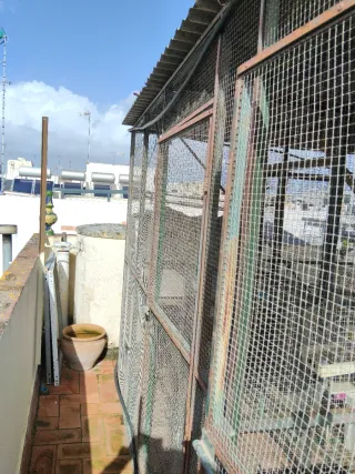 Pajarera o suelta para aves