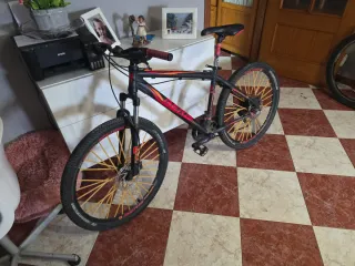 Bicicleta de montaña Berg