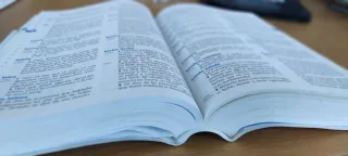 Diccionario de Primaria (Spanish and English Ed...