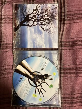 CD  des’ree. I Ain't Movin'