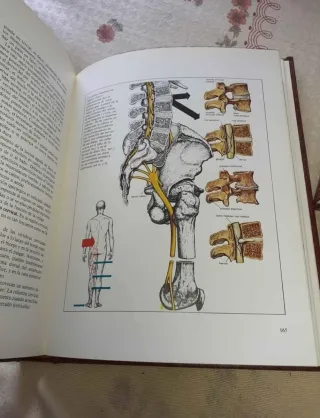 enciclopedia familiar de la medicina .1987.ver