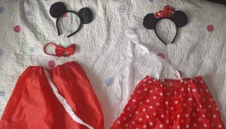 Disfraces Mickey y Minnie