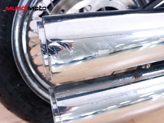 HARLEY DAVIDSON SOFTAIL STANDARD 107