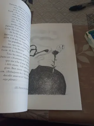 El Príncep i la flor