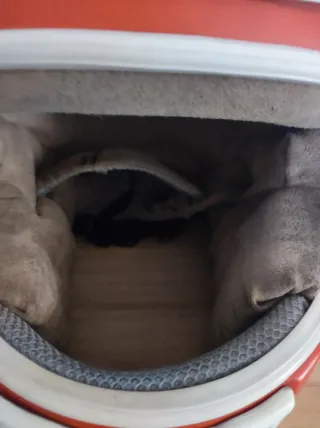 Casco NZI Chupa Chups naranja