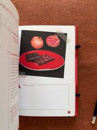 LIBRO DE COCINA CHOCOLATE DE FRUTAS - en francés