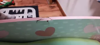 Cama infantil rosa 3-6 años