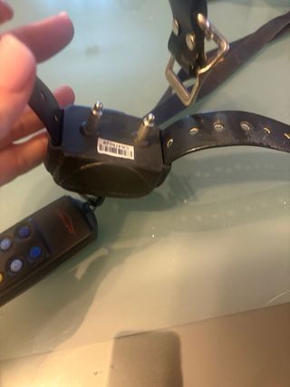 Collar para perro negro