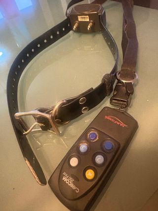 Collar para perro negro