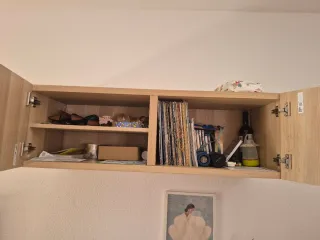 Mueble IKEA BESTÅ con puertas efecto roble