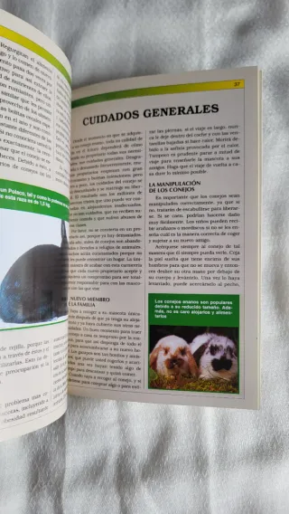 Manual práctico del hurón (Spanish Edition)