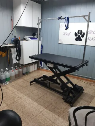 Traspaso tienda con peluqueria canina