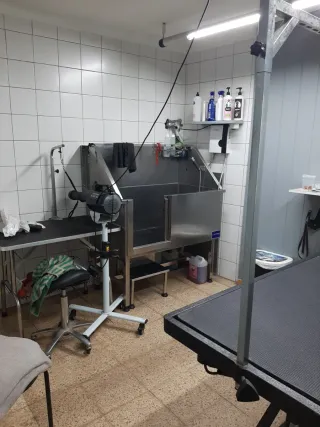 Traspaso tienda con peluqueria canina