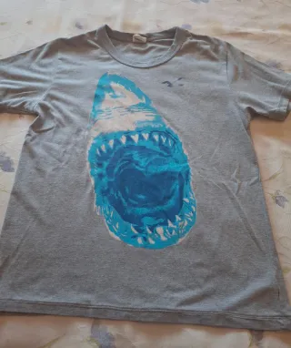 Camiseta Hollister Gris Talla L