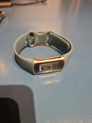 Fitbit Charge 5 Acero inoxidable/Azul