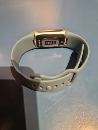 Fitbit Charge 5 Acero inoxidable/Azul